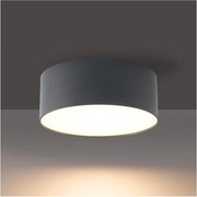 Brilagi - Plafonieră LED pentru baie FORIS, 14 W, 230 V, Ø 12 cm, antracit, IP44