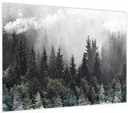 Tablou pe sticlă - Pădure cu elemente ilustrate (70x50 cm)