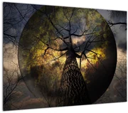 Tablou - Cerul enigmatic (70x50 cm)