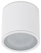Spot aplicat pentru exterior IP65 ALIX WH