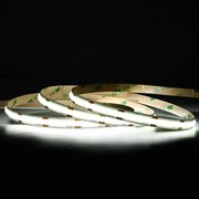 Bandă LED COB Lumină Rece 11W/m 10m/Rolă 24V