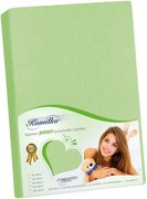 Bellatex Jersey cearșaf verde primăvară, 220 x 200 cm