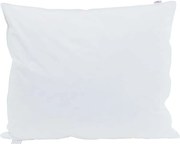 vidaXL Pernă cu pernă 2 pcs Alb 60 x 70 cm Pene