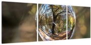 Tablou - Reflecție intr-o sferă transparentă (cu ceas) (90x30 cm)