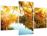 Tablou - Copac de toamnă (90x60 cm)
