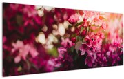 Tablou cu florile tufișului înflorit (120x50 cm)