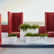 Ghiveci / Jardiniera plante design decorativ modern Faz CUBO PLANTER II