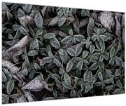 Tablou - Plante înghețate (90x60 cm)