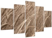 Tablou - Câmpul de aur (150x105 cm)