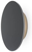 Aplica de perete exterior cu iluminat arhitectural IP65 LED Wald 18cm
