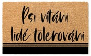 Bohemia Gifts Doormat - Dogs welcome, 40 x 60 cm