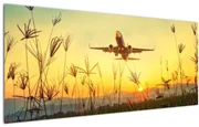 Tablou cu avion zburând (120x50 cm)