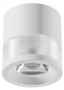 Spot/Plafoniera led 10W LEA KL171009 Klausen