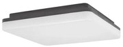 Plafoniera LED de exterior moderna IP54 TOMMY NVL-9521002