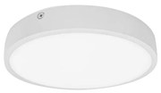 Palnas 61003580 - Plafonieră baie LED EGON LED/30W/230V IP44 3000K