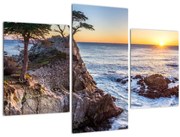 Tablou - Malul pacfic (90x60 cm)