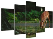 Tablou cu pui de cerb (150x105 cm)