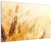 Tablou- detaliu cu (90x60 cm)