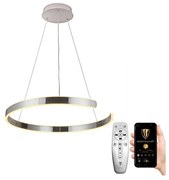 Lustră LED pe cablu dimabilă LED/70W/230V 3000-6500K + telecomandă