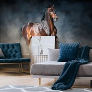 Fototapet - Calul maro (152,5x104 cm)