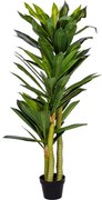 PLANTASIA - Copac artificial Dracaena 120 cm, 81 frunze