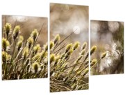 Tablou - Verde (90x60 cm)