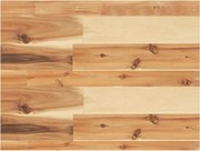 vidaXL Raft suspendat 60x30x4 cm lemn masiv acacia netratat