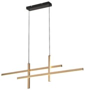 Lustră LED pe cablu Rabalux 72366 SEVERINE LED/40W/230V 3000K