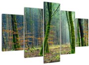 Tablou cu pădure (150x105 cm)