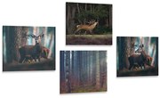 Set tablouri farmecul animalelor din pădure