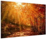 Tablou cu pădurea în toamnă (90x60 cm)