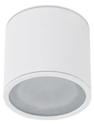 Spot aplicat pentru exterior IP65 ALIX WH