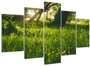 Tablou cu natura - lunca (150x105 cm)