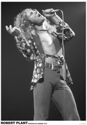 Poster Led Zeppelin - Robert Plant March 1975 (colour)