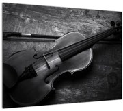 Tablou - Violete (70x50 cm)