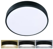 Plafonieră LED Brilagi POOL LED/36W/230V 3000/4500/6000K d. 30 cm negru