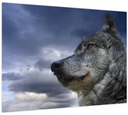 Tablou pe sticlă - Cap de lup (70x50 cm)