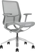 Emily Grey Ergo F5-G01 – Scaun ergonomic premium, Mesh respirabil 4D, înclinare cu blocare, înălțime reglabila, cadru din nylon, bază din aluminiu, Gri