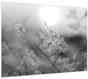 Tablou - Pajiște de toamnă (70x50 cm)