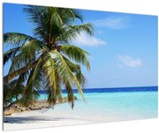 Tablou cu palmier pe plajă (90x60 cm)