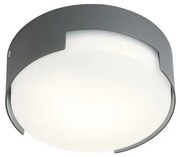 Redo 90003 - Plafonieră LED exterior SKOR LED/12W/230V IP54 gri