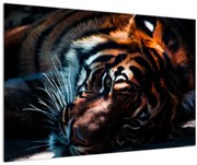 Tablou cu tigrul dormind (90x60 cm)