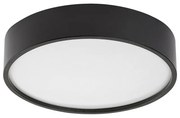 Plafonieră cu LED Rabalux 75011 Larcia, 19 W, negru