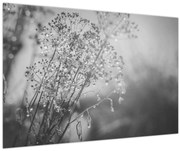 Tablou - Pajiște după ploaie (90x60 cm)