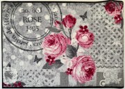 Covoras intrare lavabil Roses 50/75 cm