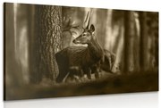 Tablou cerbul în pădure de pini în sepia