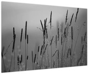 Tablou - Lamele de iarbă (90x60 cm)