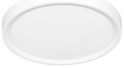 Plafonieră LED Ecolite W007-CCT/40W/BI SALY LED/40W/230V IP40 alb