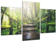 Tablou - trepte din lemn în pădure (90x60 cm)