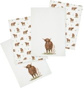Prosoape de vase 4 buc. din bumbac 50x70 cm Angus Highland Cow – Catherine Lansfield